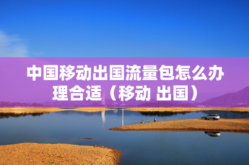 中国移动出国流量包怎么办理合适（移动 出国）