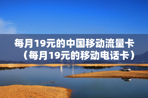每月19元的中国移动流量卡（每月19元的移动电话卡）