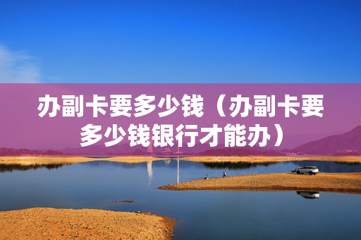 办副卡要多少钱（办副卡要多少钱银行才能办）
