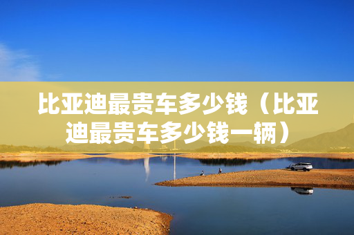 比亚迪最贵车多少钱（比亚迪最贵车多少钱一辆）