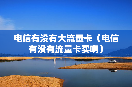 电信有没有大流量卡（电信有没有流量卡买啊）