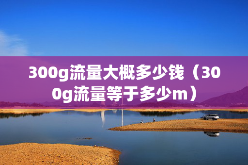 300g流量大概多少钱（300g流量等于多少m）