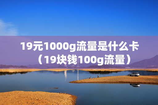 19元1000g流量是什么卡（19块钱100g流量）
