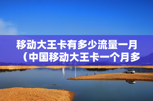 移动大王卡有多少流量一月（中国移动大王卡一个月多少流量）