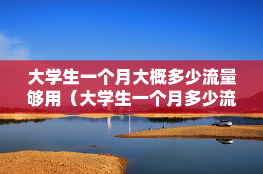 大学生一个月大概多少流量够用（大学生一个月多少流量够用啊）
