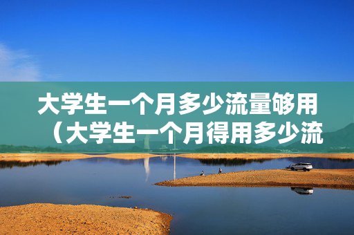 大学生一个月多少流量够用（大学生一个月得用多少流量）