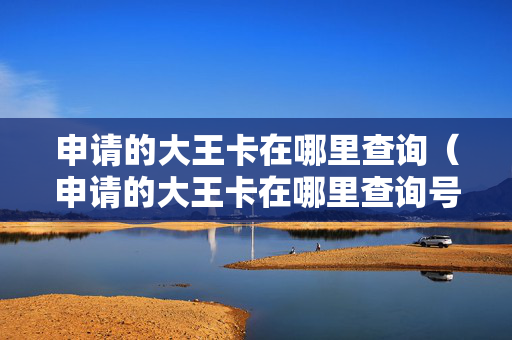 申请的大王卡在哪里查询（申请的大王卡在哪里查询号码）