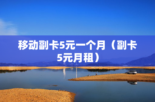 移动副卡5元一个月（副卡5元月租）