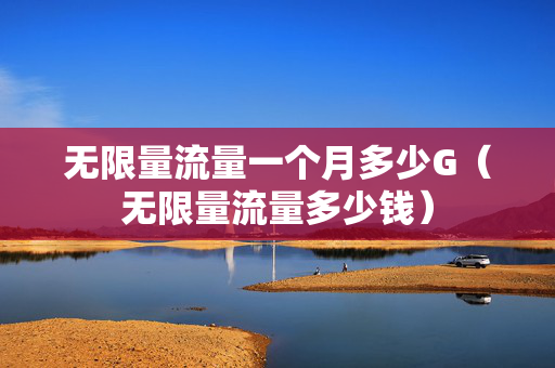 无限量流量一个月多少G（无限量流量多少钱）