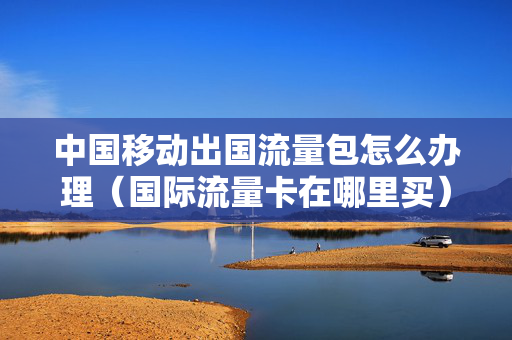 中国移动出国流量包怎么办理（国际流量卡在哪里买）