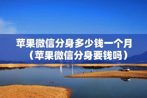 苹果微信分身多少钱一个月（苹果微信分身要钱吗）