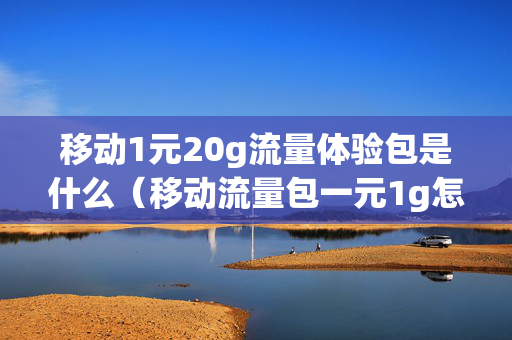移动1元20g流量体验包是什么（移动流量包一元1g怎么办理）