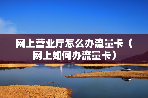 网上营业厅怎么办流量卡（网上如何办流量卡）