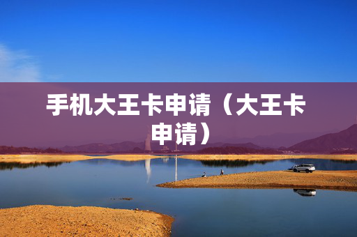 手机大王卡申请（大王卡 申请）