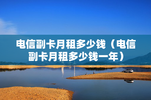 电信副卡月租多少钱（电信副卡月租多少钱一年）