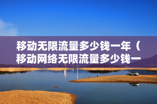 移动无限流量多少钱一年（移动网络无限流量多少钱一个月）