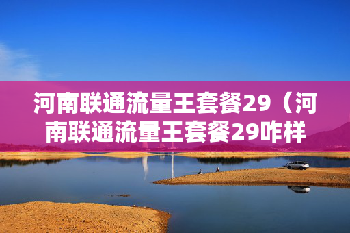 河南联通流量王套餐29（河南联通流量王套餐29咋样）