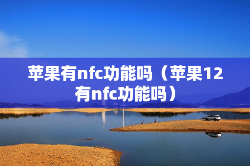 苹果有nfc功能吗（苹果12有nfc功能吗）