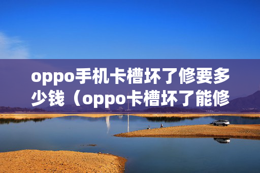 oppo手机卡槽坏了修要多少钱（oppo卡槽坏了能修吗）
