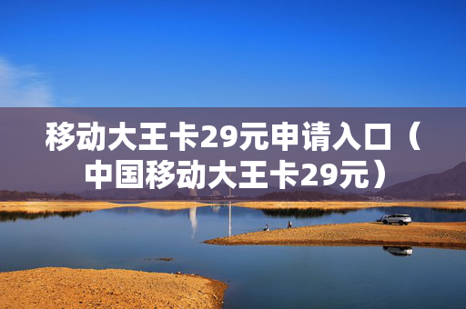 移动大王卡29元申请入口（中国移动大王卡29元）
