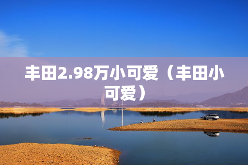 丰田2.98万小可爱（丰田小可爱）