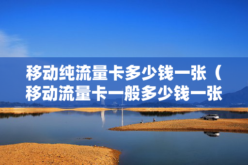 移动纯流量卡多少钱一张（移动流量卡一般多少钱一张）