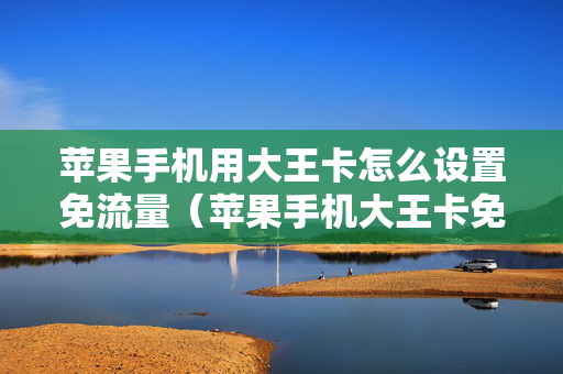 苹果手机用大王卡怎么设置免流量（苹果手机大王卡免流量吗）