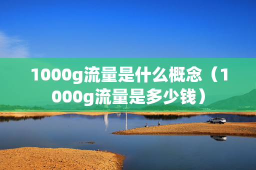 1000g流量是什么概念（1000g流量是多少钱）