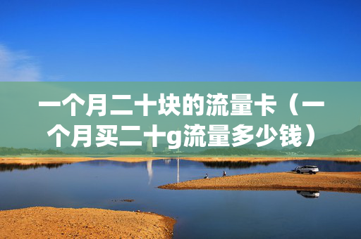 一个月二十块的流量卡（一个月买二十g流量多少钱）
