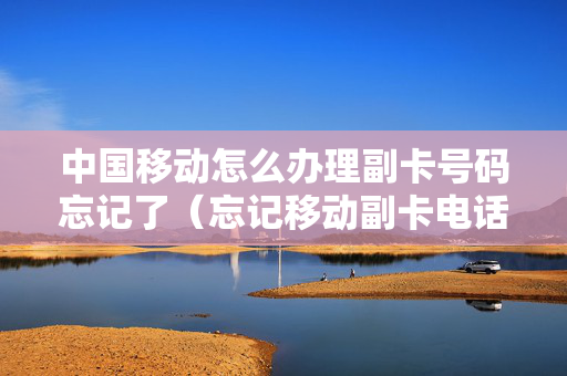 中国移动怎么办理副卡号码忘记了（忘记移动副卡电话号码）