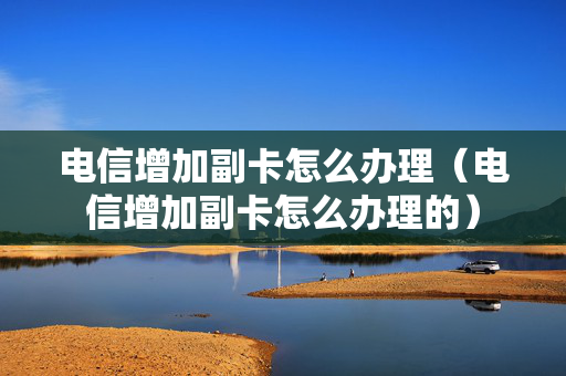 电信增加副卡怎么办理（电信增加副卡怎么办理的）