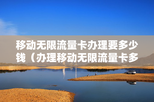 移动无限流量卡办理要多少钱（办理移动无限流量卡多少钱一个月）