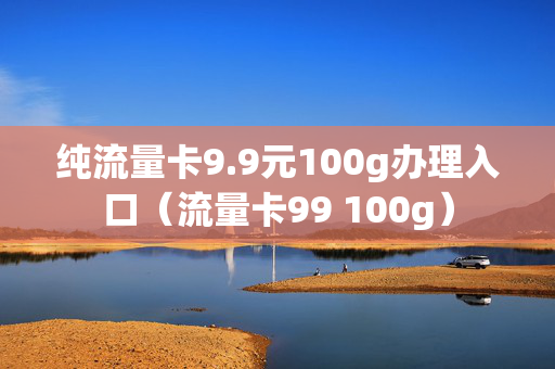 纯流量卡9.9元100g办理入口（流量卡99 100g）