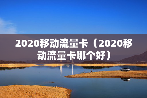 2020移动流量卡（2020移动流量卡哪个好）