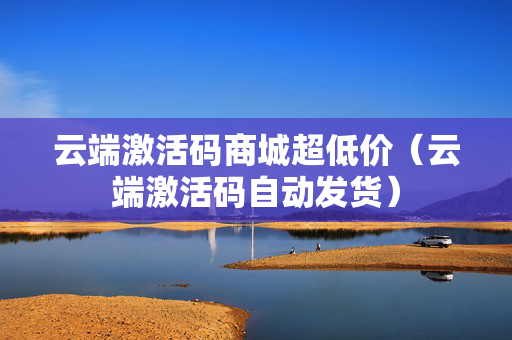 云端激活码商城超低价（云端激活码自动发货）
