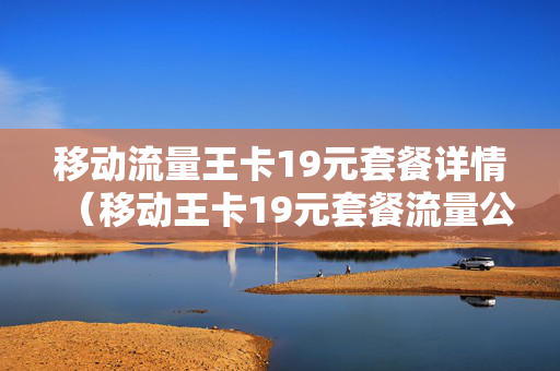 移动流量王卡19元套餐详情（移动王卡19元套餐流量公开版国内流量）