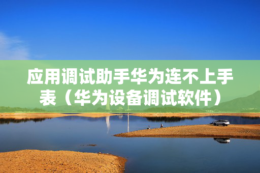应用调试助手华为连不上手表（华为设备调试软件）