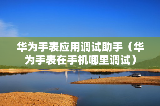 华为手表应用调试助手（华为手表在手机哪里调试）