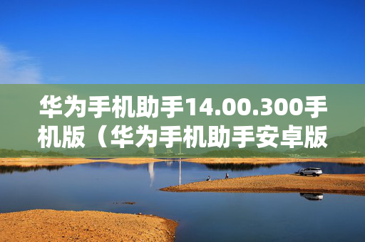 华为手机助手14.00.300手机版（华为手机助手安卓版最新手机版v610300）