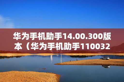 华为手机助手14.00.300版本（华为手机助手1100320）