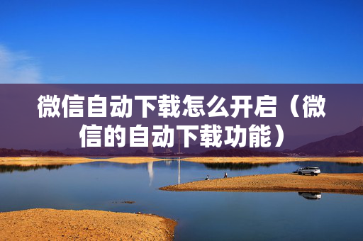 微信自动下载怎么开启（微信的自动下载功能）