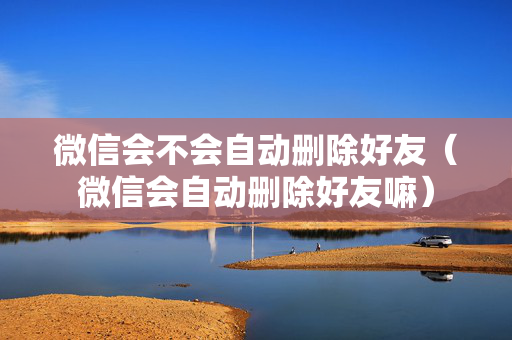 微信会不会自动删除好友（微信会自动删除好友嘛）