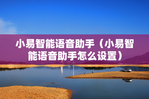 小易智能语音助手（小易智能语音助手怎么设置）