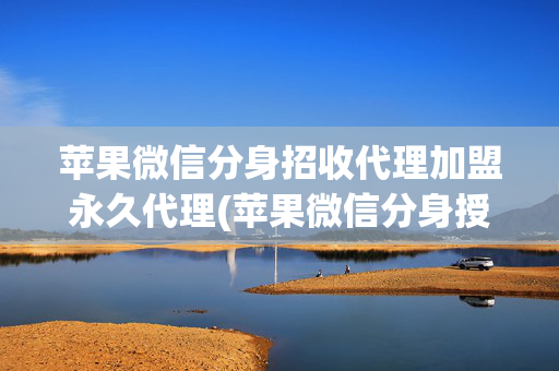 苹果微信分身招收代理加盟永久代理(苹果微信分身授权代码 )