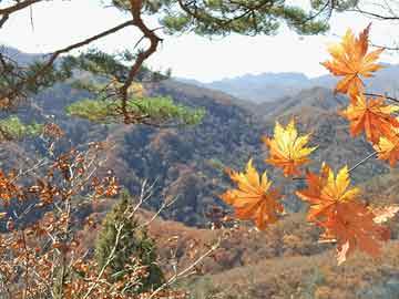 深圳电信宽带办理_深圳南山电信宽带办理_深圳电信（深圳南山电信营业厅营业时间）