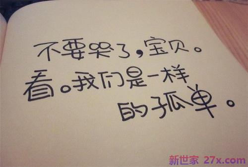 关于描写爱情的句子(描写美好爱情的句子)