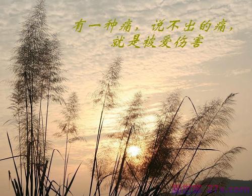 始终如一的爱情短句子(爱情始终如一的唯美句子)