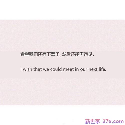 爱情哲理句子精辟短句(社会哲理句子短句)