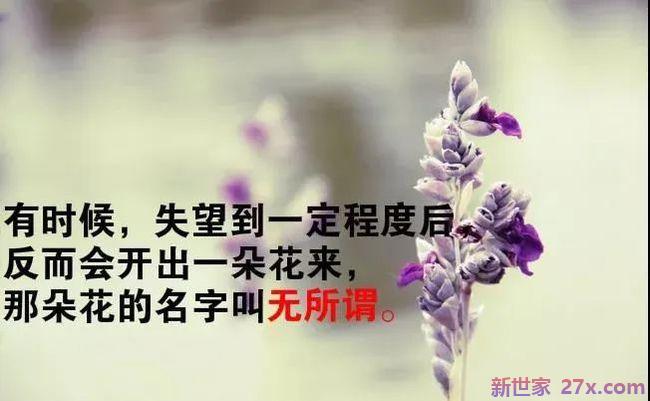 感悟爱情的经典句子(生活爱情感悟经典句子说说心情)