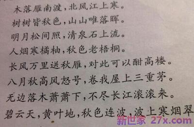 爱情的词语和句子(爱情可以百度吗词语句子)